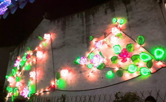 月色江南，醉美周莊 一簾燈影入夢來