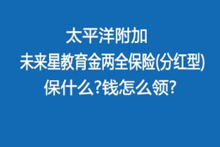 數(shù)字化新浪潮下的專業(yè)保障 沃保保險(xiǎn)網(wǎng)與韻沃網(wǎng)絡(luò)服務(wù)的壽險(xiǎn)革新