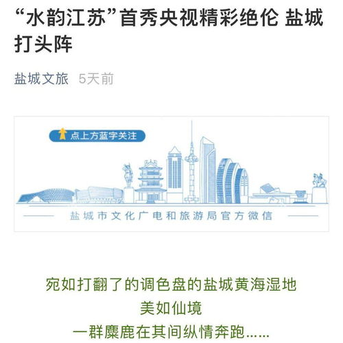 水韻江蘇宣傳片引爆全網(wǎng)，江蘇文旅品牌建設(shè)迎來(lái)新篇章